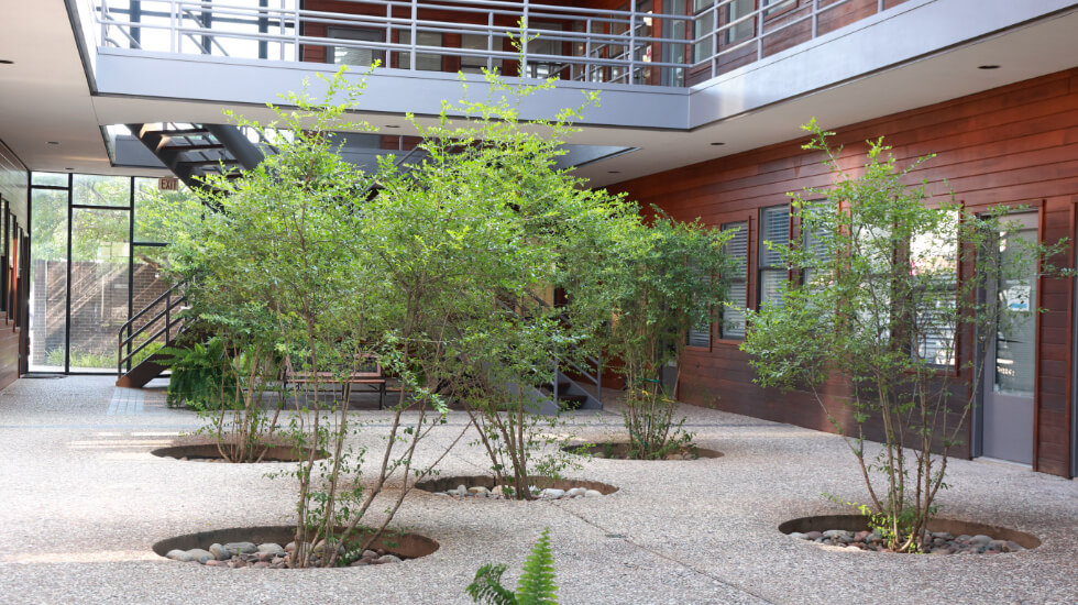 Dental office building courtyard