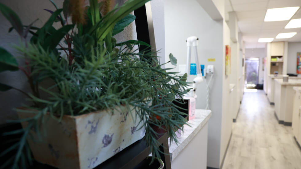 Hallway to dental treatment rooms